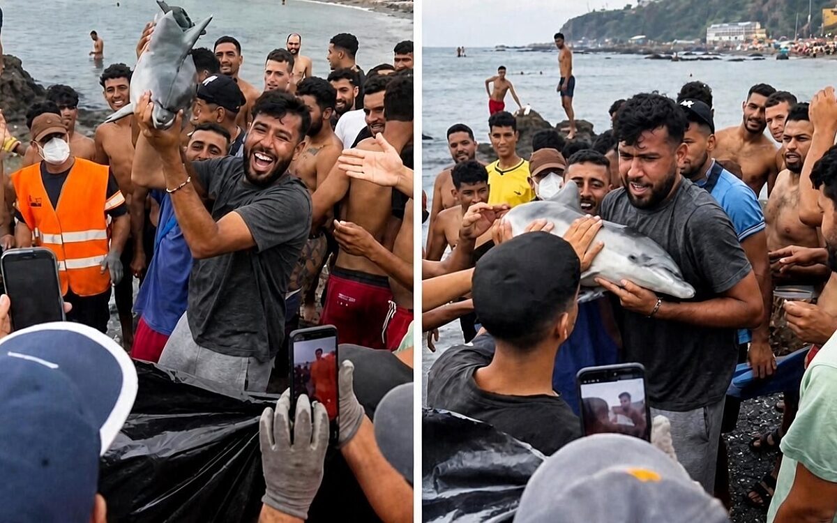 Verontwaardiging in Ceuta nadat migranten dode babydolfijn boven hun hoofd houden