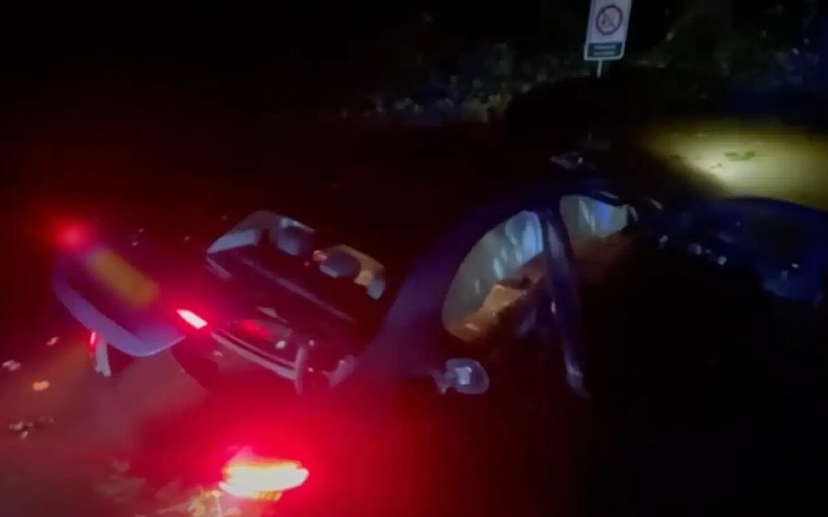 Bestuurder huur-Mercedes eindigt met natte voeten na bizarre achtervolging