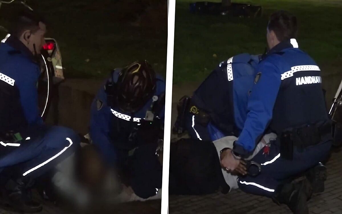 Video: Heethoofd draait door en scheldt boa verrot in Overtreders