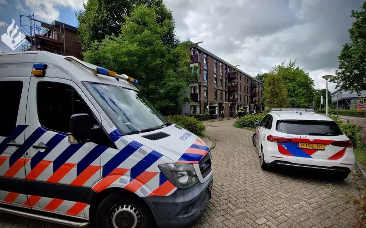 Dievenduo klimt Amsterdamse flat binnen, mishandelt bewoner en vlucht met de buit