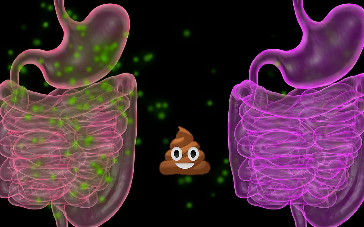 Kijktip: Hack your health: The secrets of your gut' op Netflix