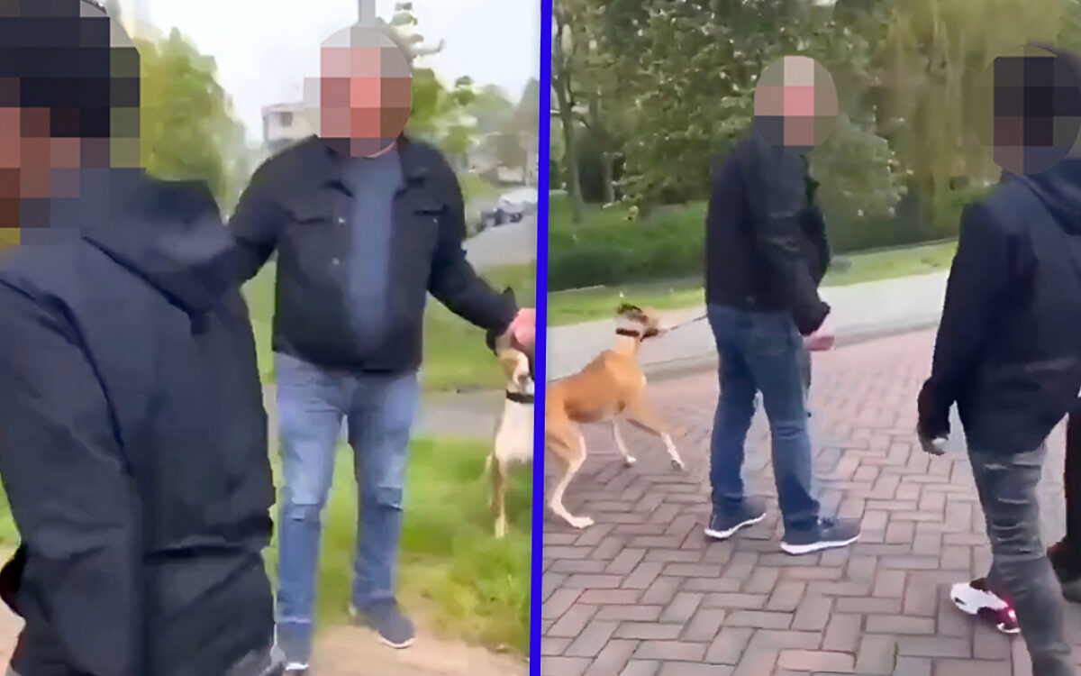 Tuig dat Paul (73) mishandelde op straat krijgt een taakstraf opgelegd