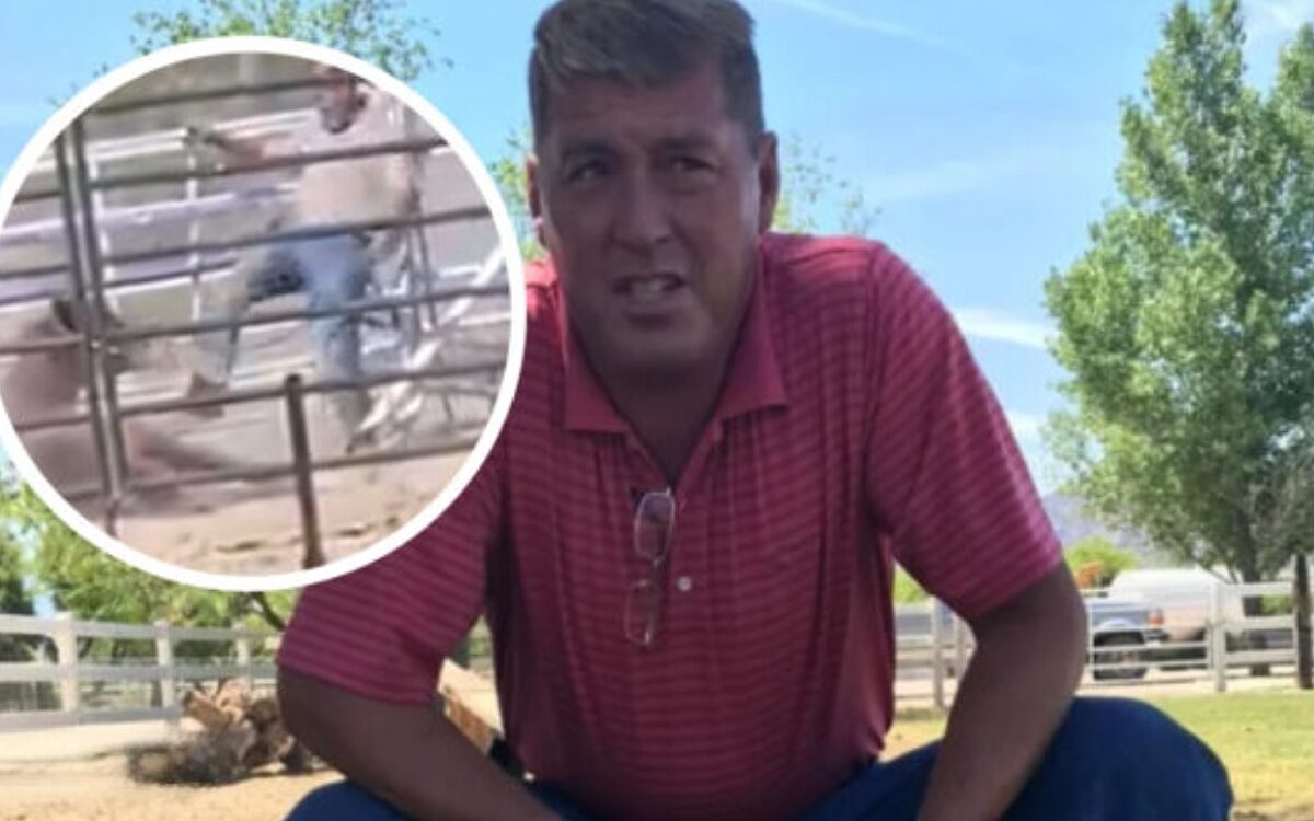 Dierenarts mishandelt paard in walgelijke video en wordt week later dood aangetroffen in meer