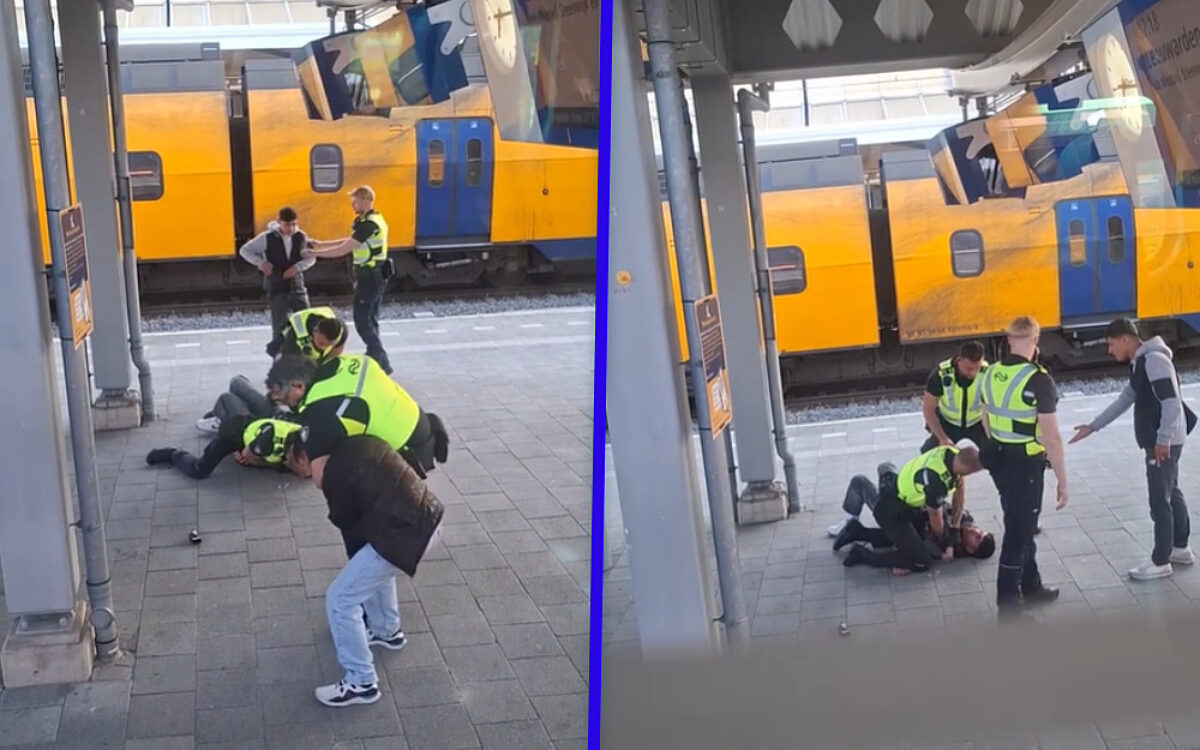 Chaotische arrestatie van kansenparels op perron vastgelegd door reiziger