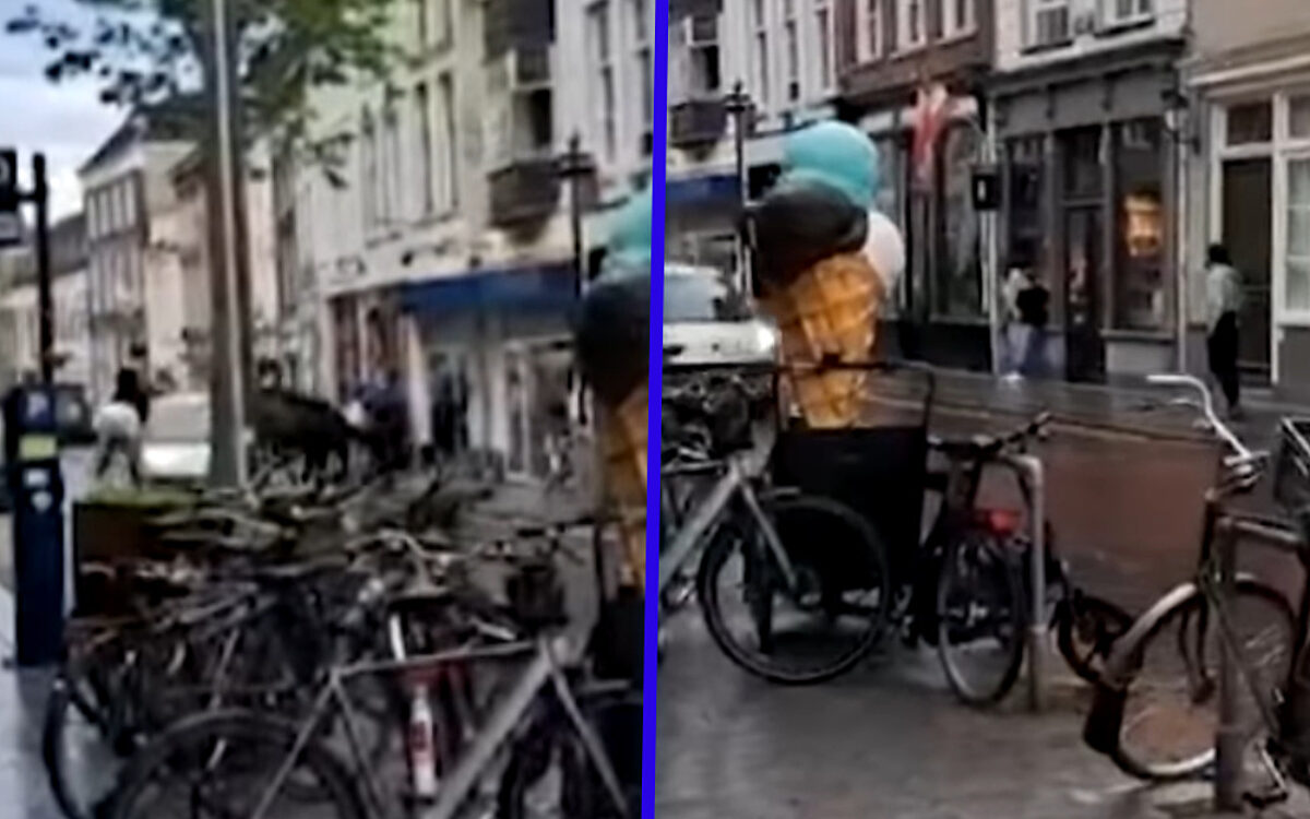 Krankjorum: Man rijdt opzettelijk in op politiepaarden in centrum Den Bosch