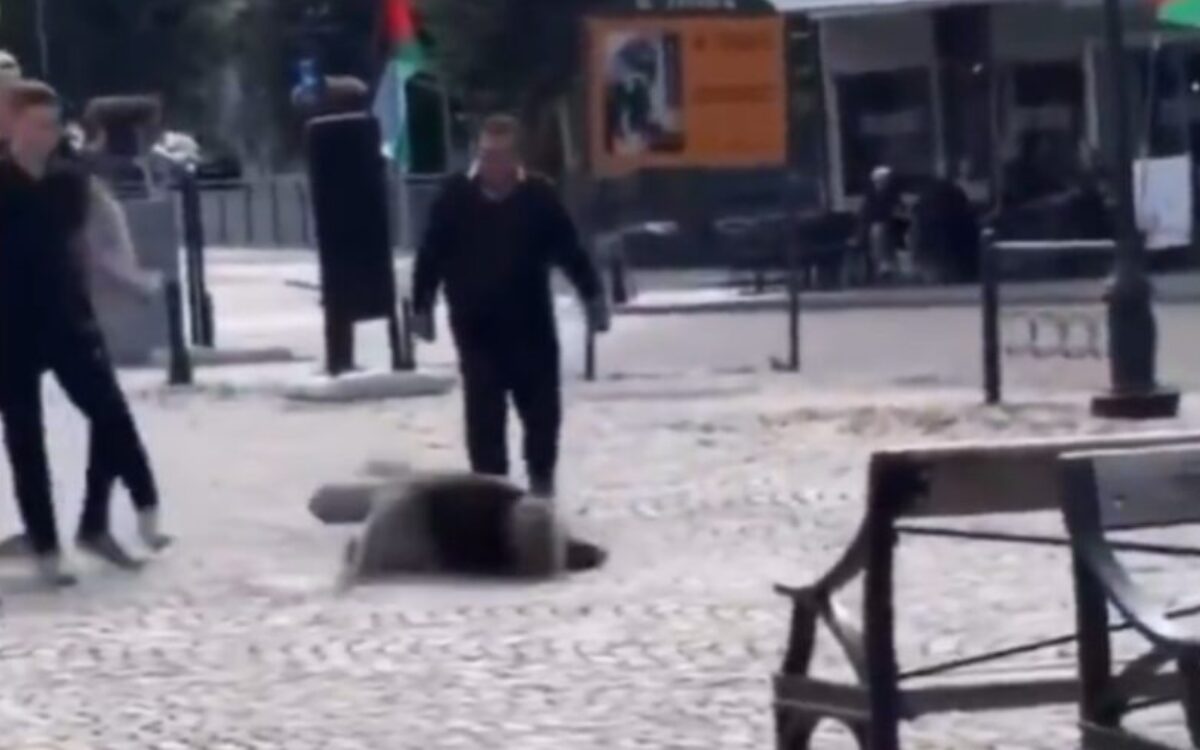 Zweedse man mishandeld: Palestina-activist beukt zijn hoofd tegen de tegels