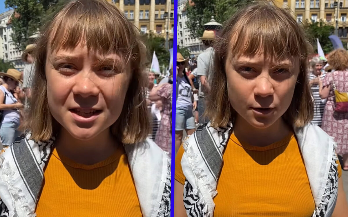 Greta Thunberg gedeporteerd na vermeende mishandeling in Israël