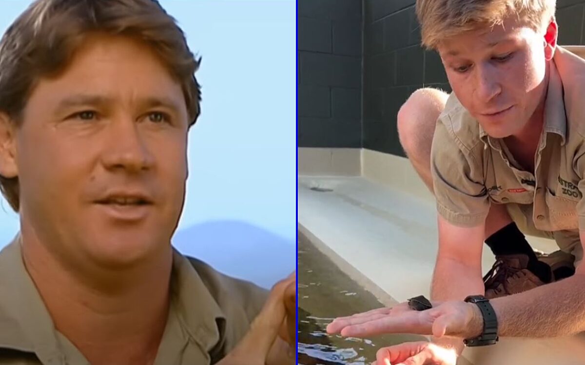 Zoon Steve Irwin fokt uiterst zeldzame schildpad voor de eerste keer