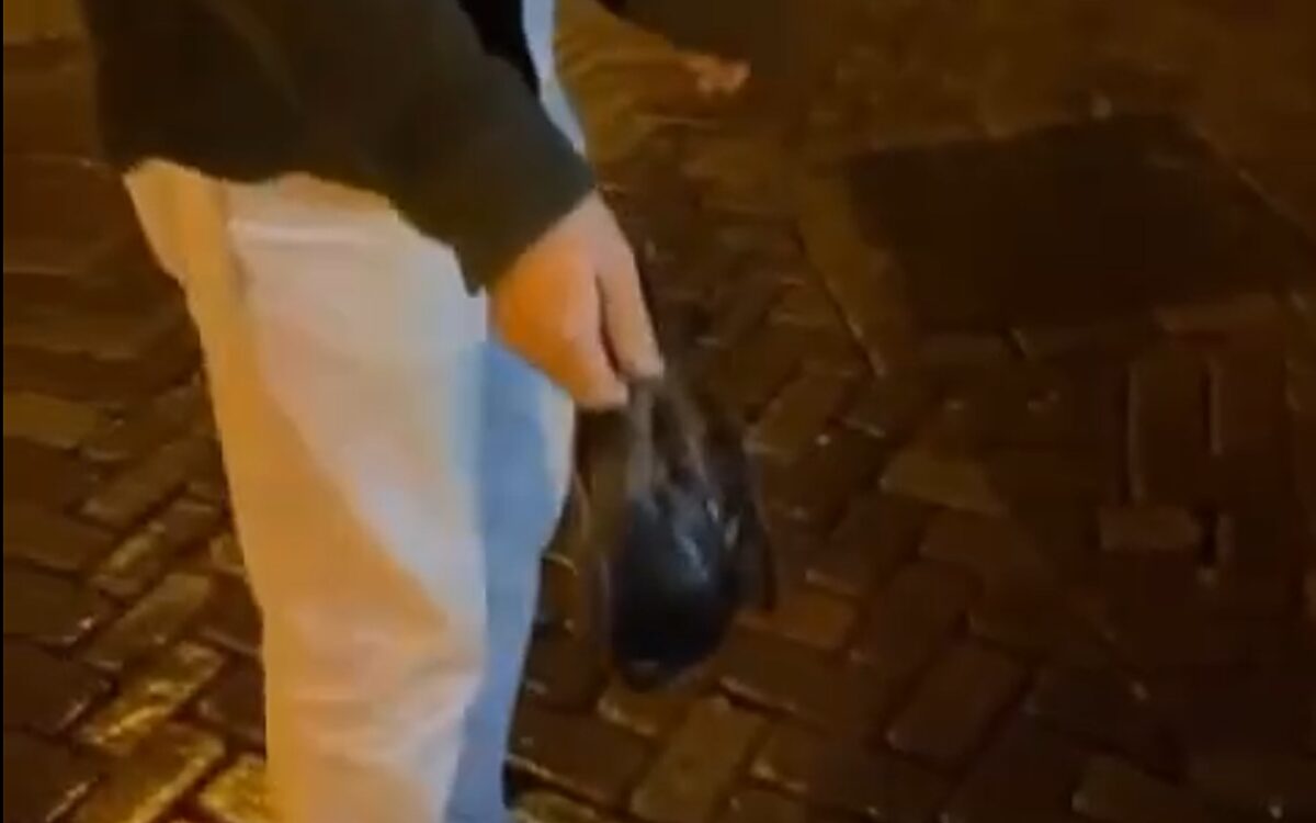 Bizar: student gooit dode vogel door de lucht