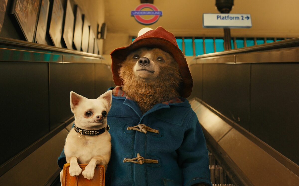 Peru woedend: Paddington in Peru opgenomen in Colombia
