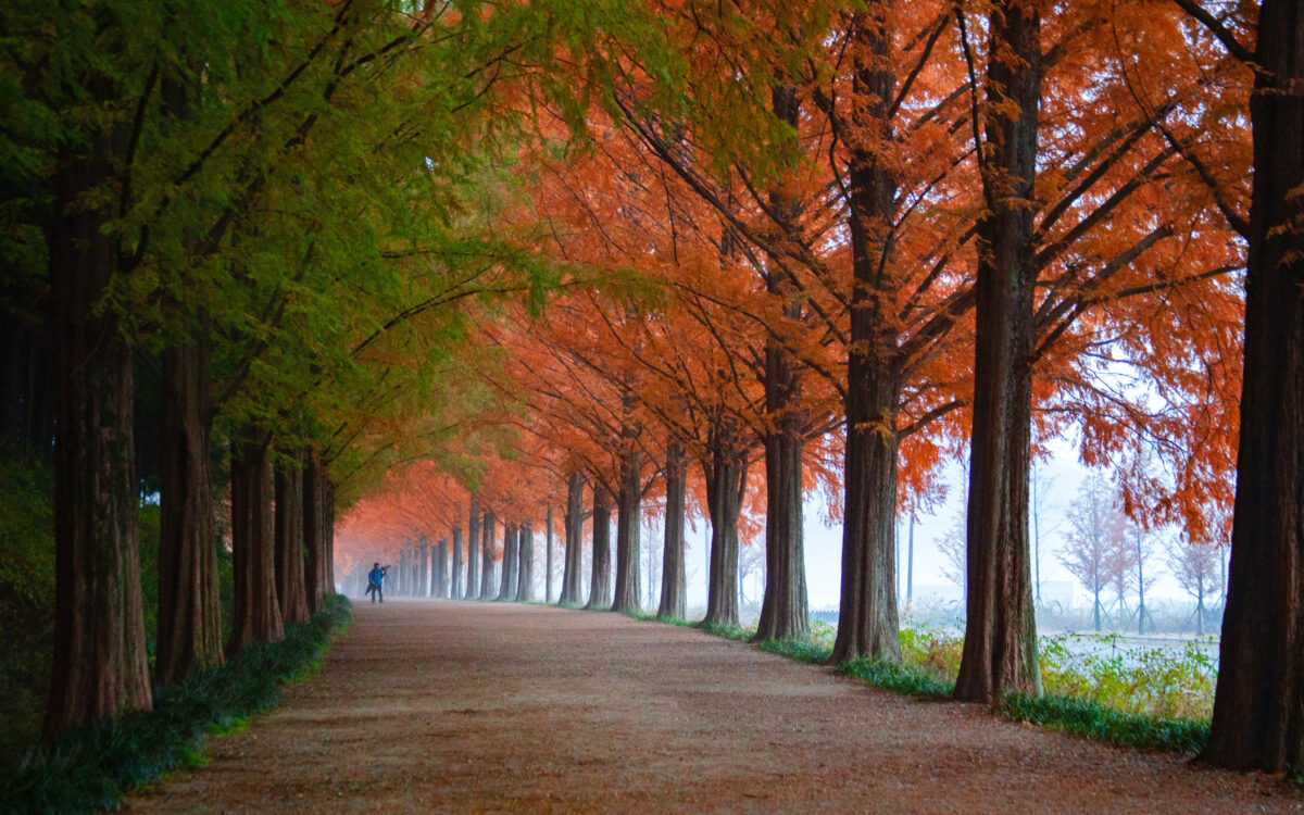 De herfst is begonnen: dit wordt het weer komend weekend
