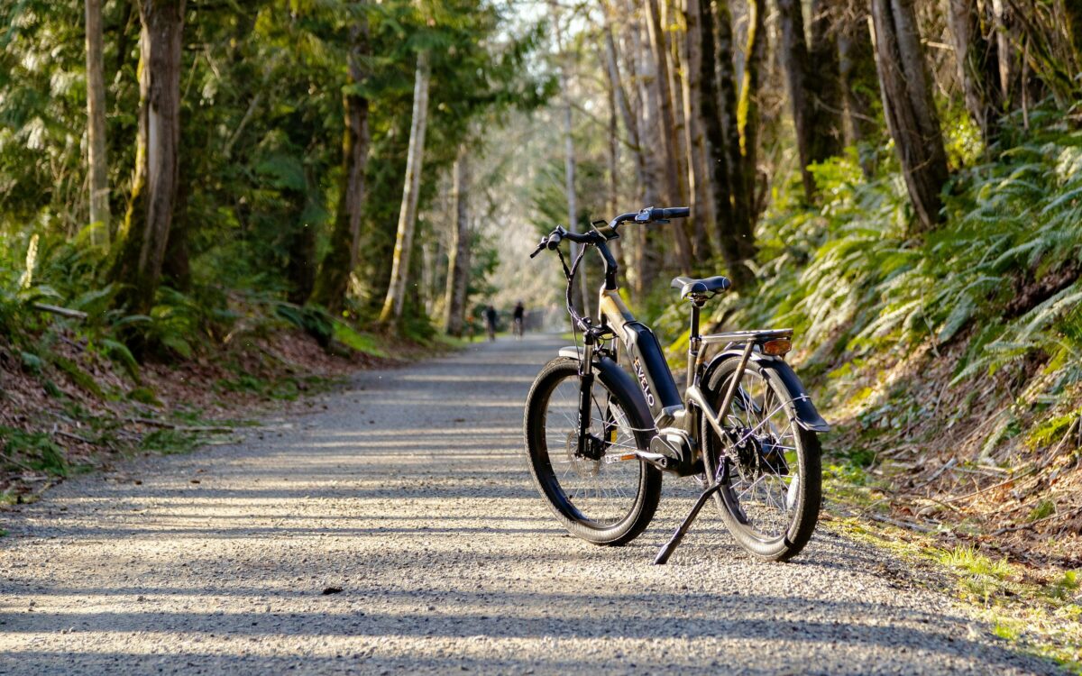 Maandelijks duizenden gestolen e-bikes naar Oost-Europa