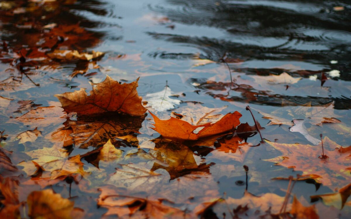 Weerbericht: Na regen komt vandaag weinig zonneschijn maar wel nog meer regen
