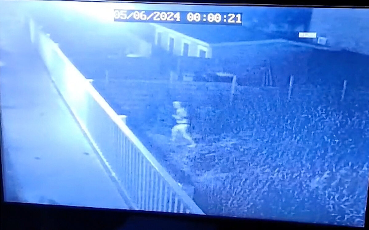 Almelo in de ban van man in bh en string: "Ik dacht: what the f*** is dit?"