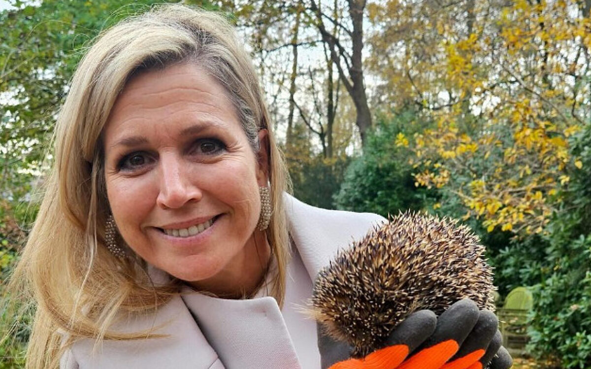Máxima adopteert egels voor eigen tuin