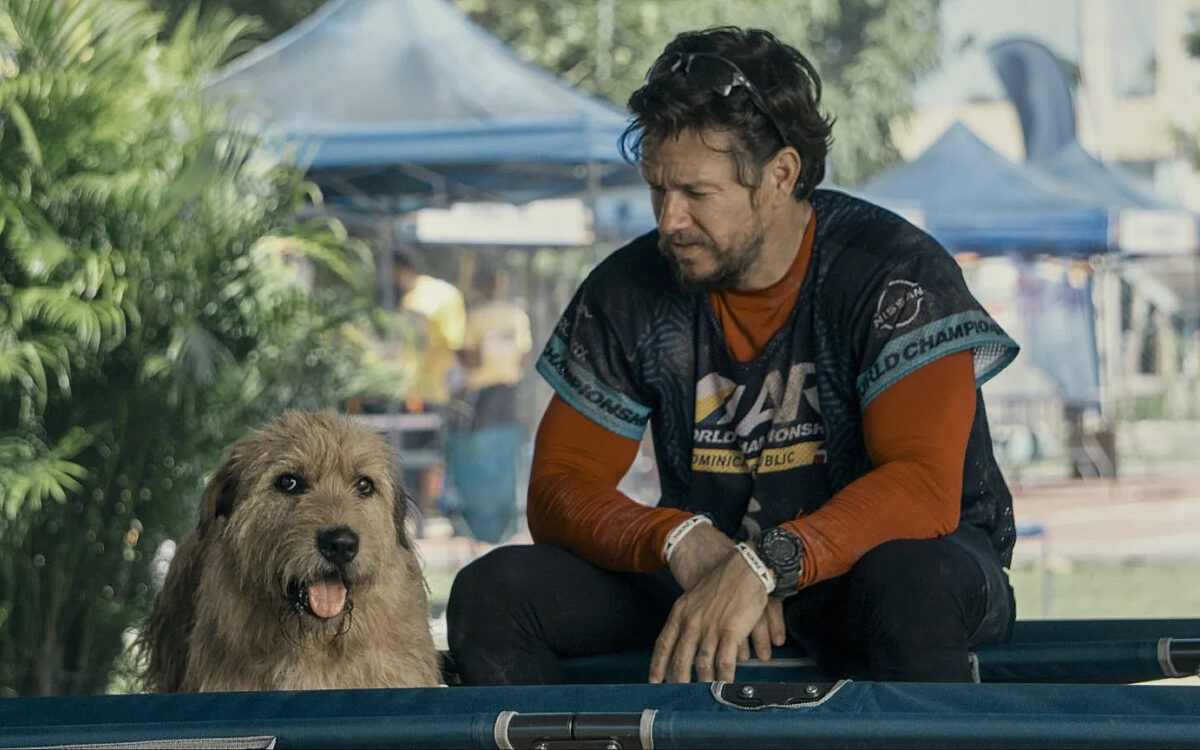 Mark Wahlberg schittert met zwerfhond in Arthur the King