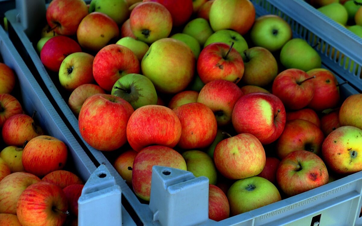 Video: Fruittelers bereiden zich voor op nachtvorst eind april