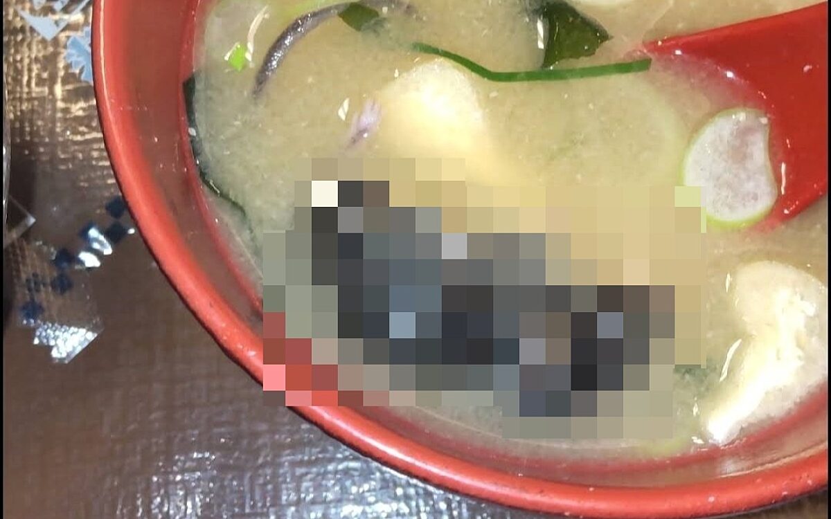 Bon appétit! Restaurant bedolven onder kritiek nadat bezoeker dode rat aantreft in soep