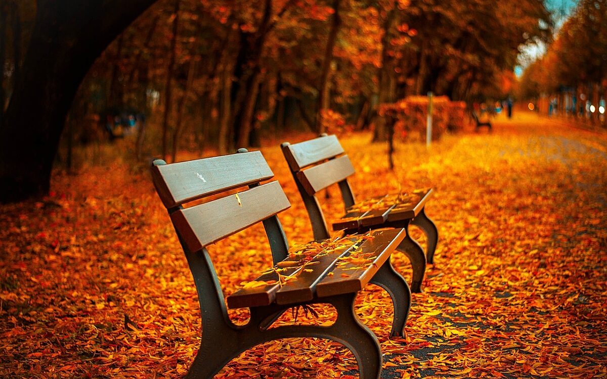 De herfst is begonnen: haal de regenjas maar uit de kast