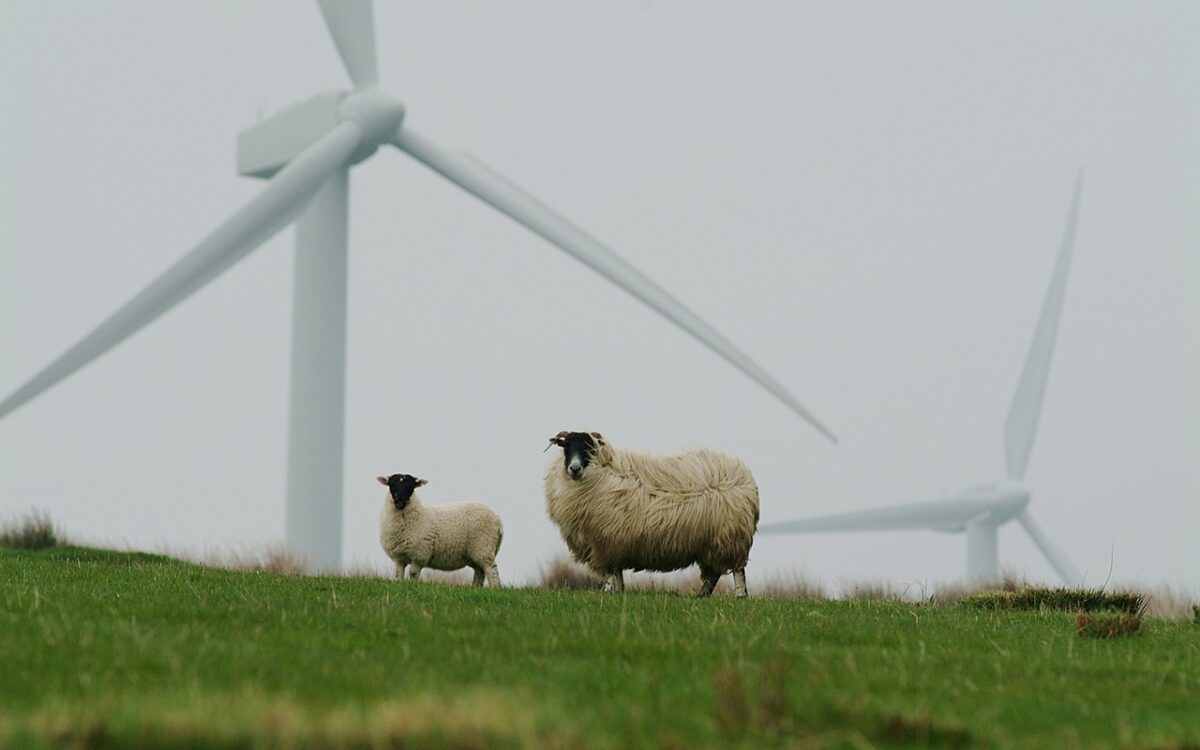 KNMI kondigt waarschuwing af voor zware windstoten