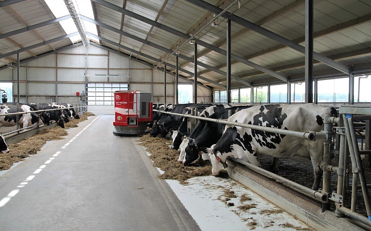 Wetenschappers: Stikstofbeleid doet weinig voor natuur