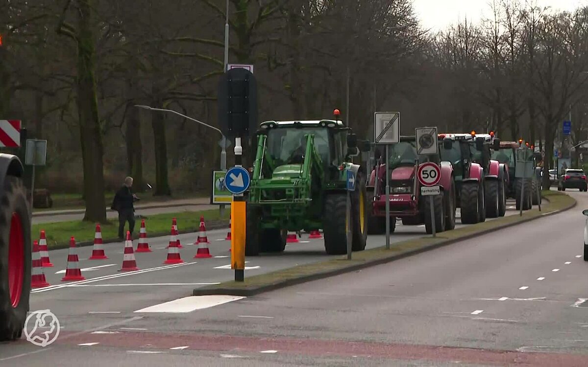 Video: Boeren overhandigen petitie aan provinciehuis Haarlem