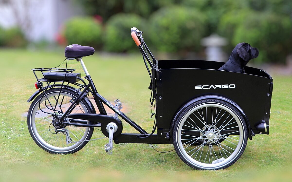 Ontdek de vele voordelen van een elektrische bakfiets