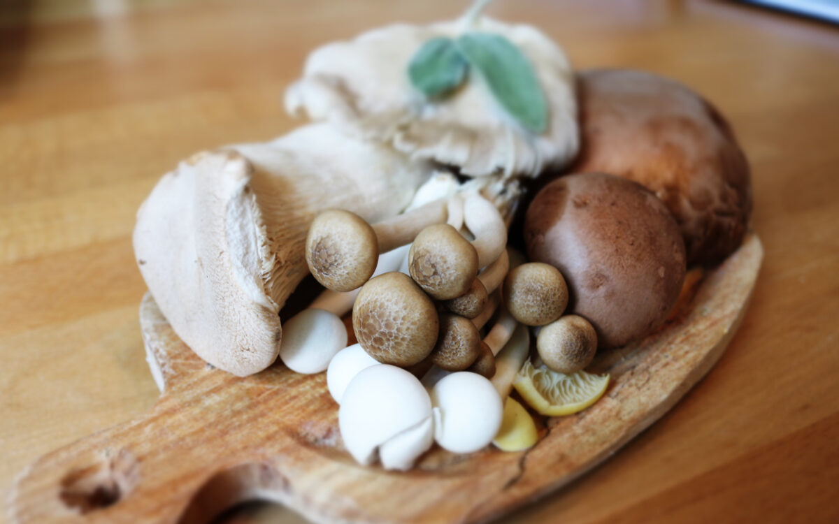 Russische ruimtewetenschapper dood na eten van giftige paddestoelen