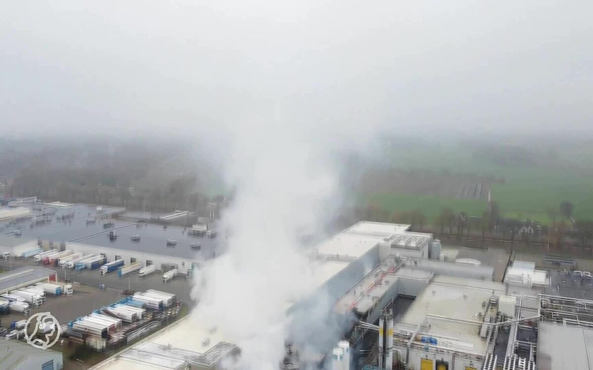 Enorme brand in bedrijfspand in Oosterwolde woedt nog steeds