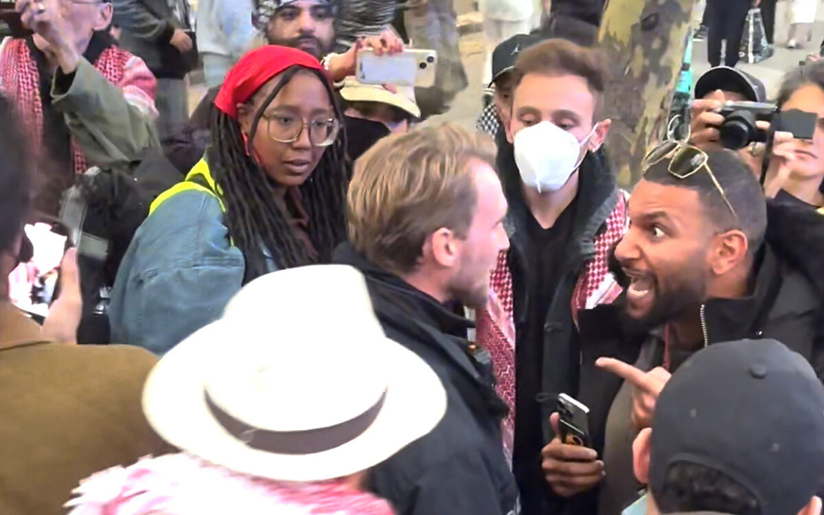 Duitse agent in het nauw door pro-Palestijnse demonstranten