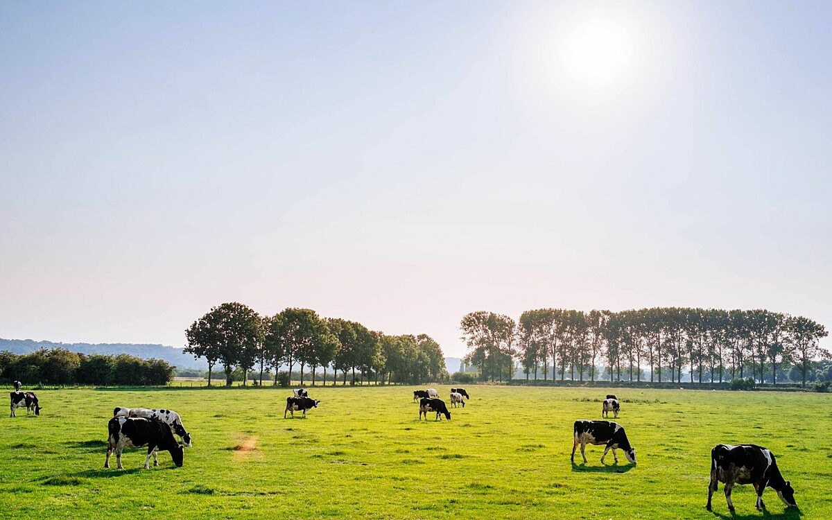 Weer dreigt een nieuwe groep boeren illegaal te worden