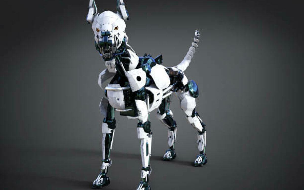 Video: Chinese PLA-soldaat loopt met gewapende robothond