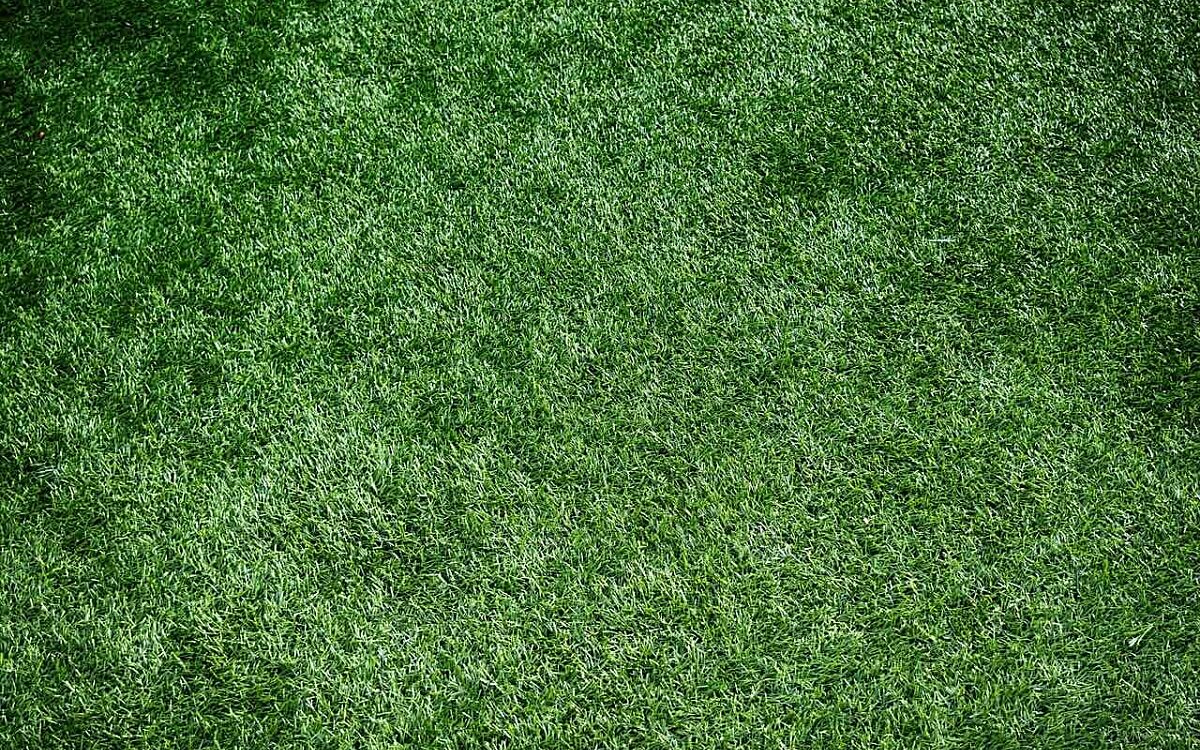 Is kunstgras goed of slecht voor het milieu?