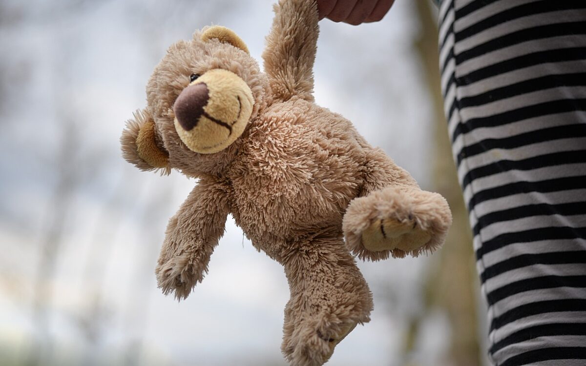 Voorbijganger redt vermist meisje dat langs snelweg liep in Zwolle