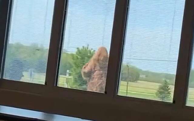 Zien: school in Ohio sluit deuren vanwege incident met ‘bigfoot’