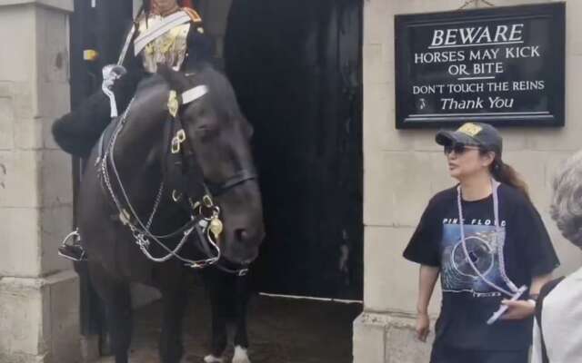 Toeriste valt flauw na beet van Brits koninklijk paard