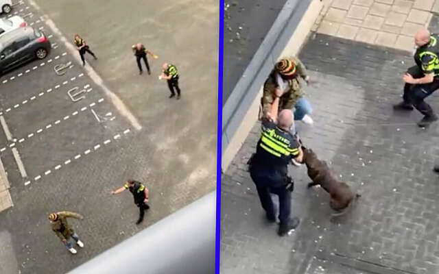 Spectaculaire politieactie in Enschede: waarschuwingsschot gelost, politiehond en tasers ingezet
