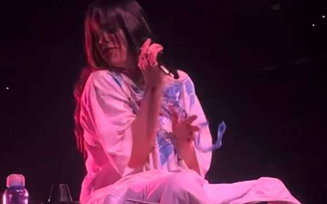 Billie Eilish geraakt door vliegend object tijdens concert - fan slaat weer toe