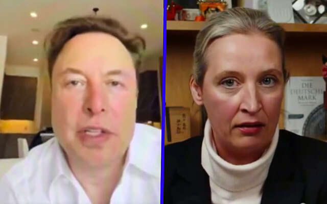 Elon Musk en Alice Weidel "verdraaien Hitler-feiten" en zaaien chaos op het internet