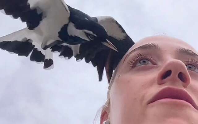 Australische fitgirl  verliest bijna haar oog door agressieve vogel