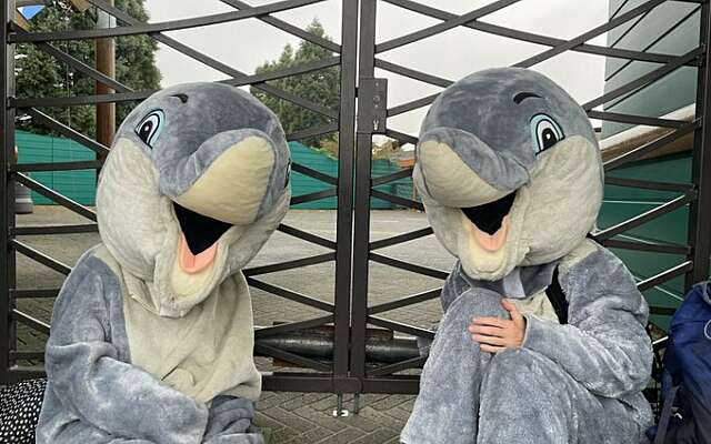 Dierenactivisten van stichting Bite Back blokkeren ingangen Dolfinarium Harderwijk